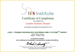 IFS Level 1 - Catalin Dandes