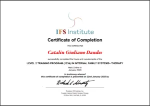 IFS Level 2 Catalin Dandes
